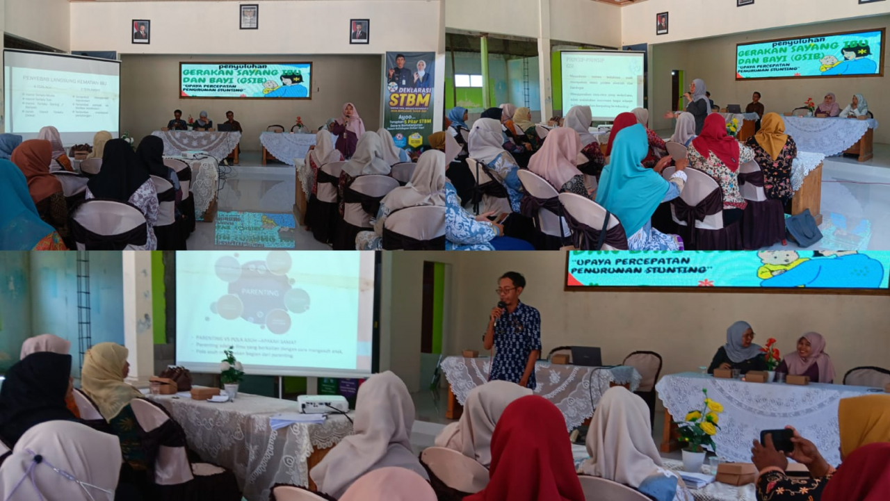Penyuluhan Gerakan Sayang Ibu dan Bayi di Desa Margasari